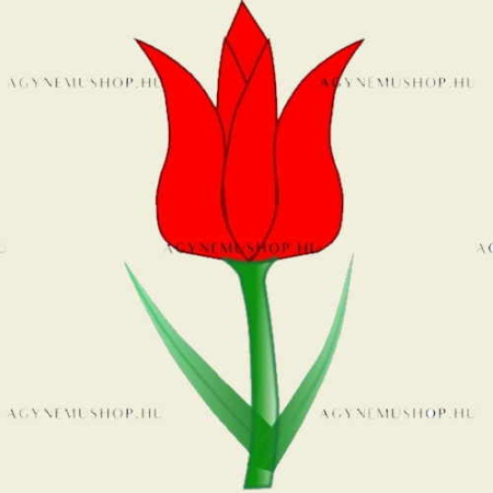 tulipan-ovis-jel